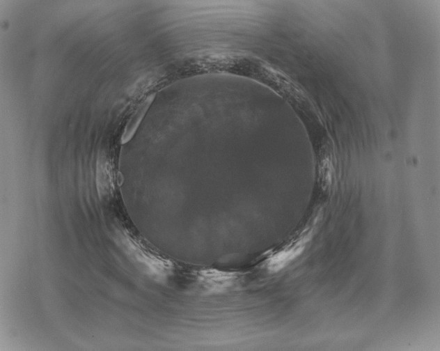 X0000075860772200609151225