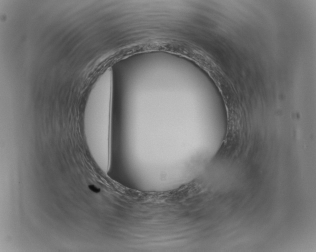 X0000075860773200609151225