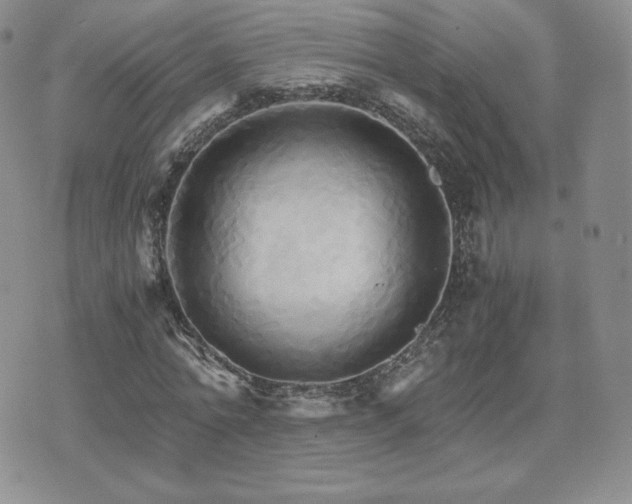 X0000075860774200609151225