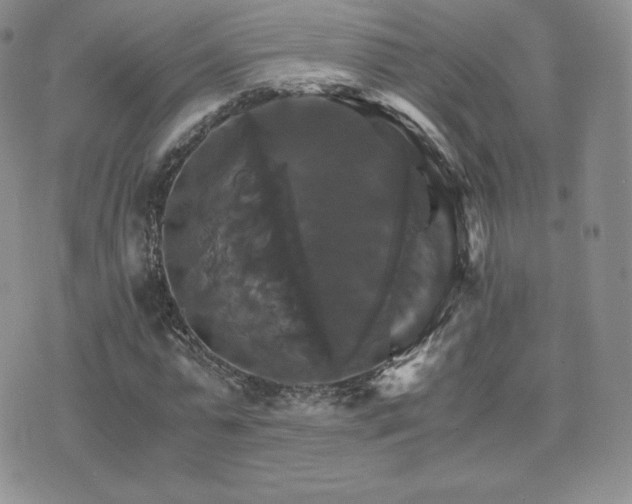 X0000075860775200609151225