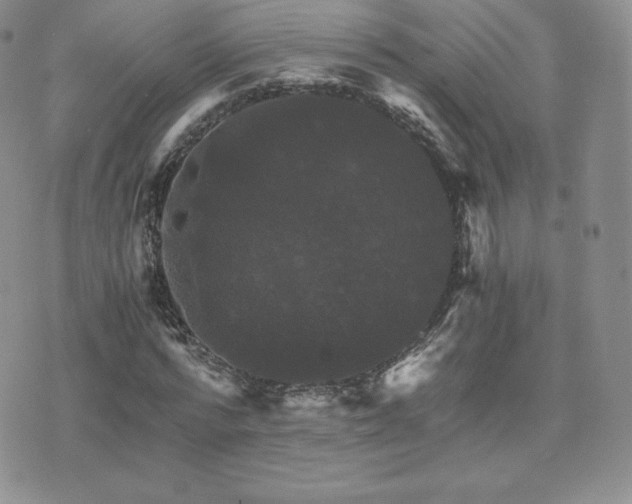 X0000075860776200609151225