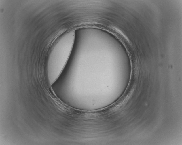 X0000075860777200609151225