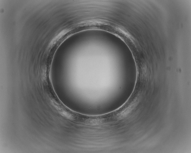 X0000075860778200609151225