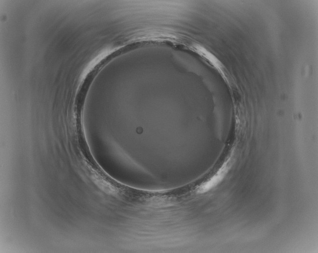 X0000075860779200609151225