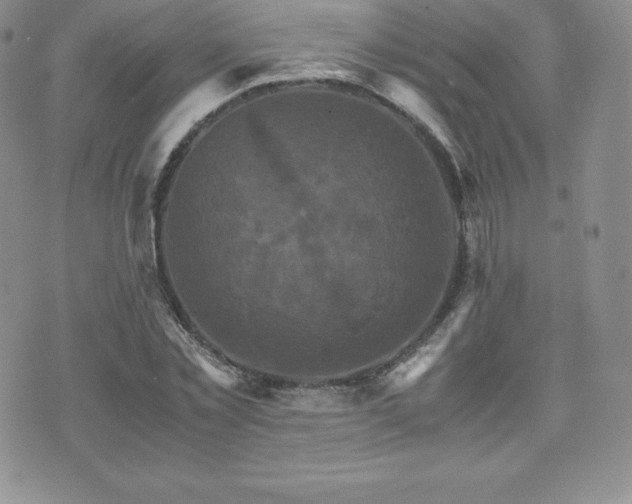 X0000075860781200609151225