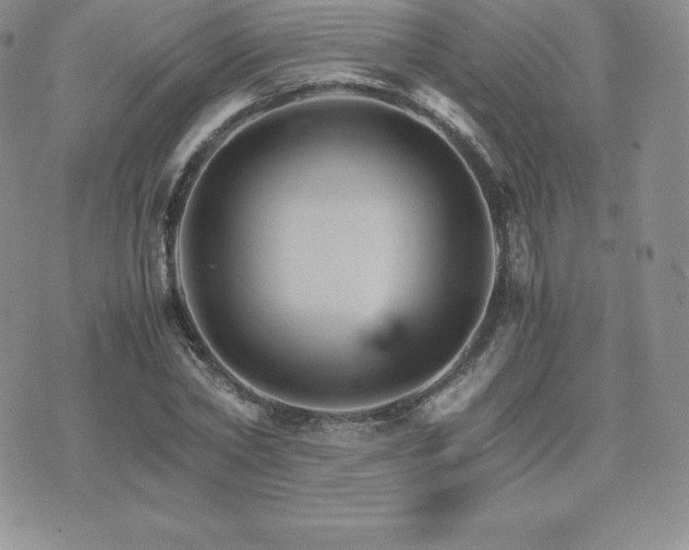 X0000075860782200609151225