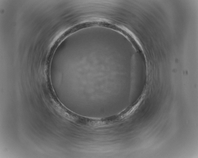 X0000075860783200609151225