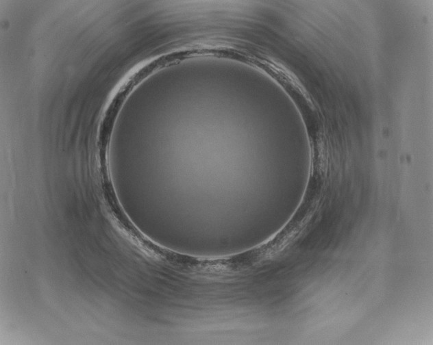 X0000075860784200609151225