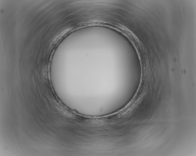 X0000075860785200609151225