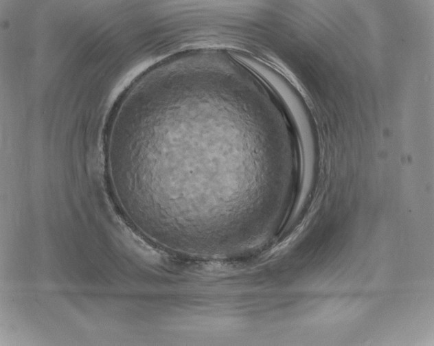 X0000075860787200609151225