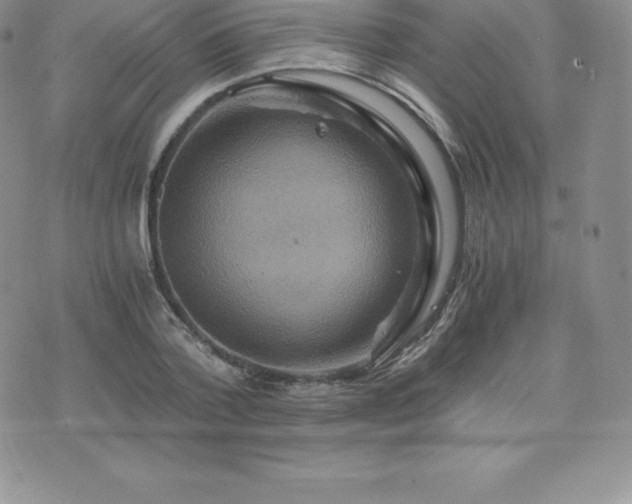 X0000075860788200609151225