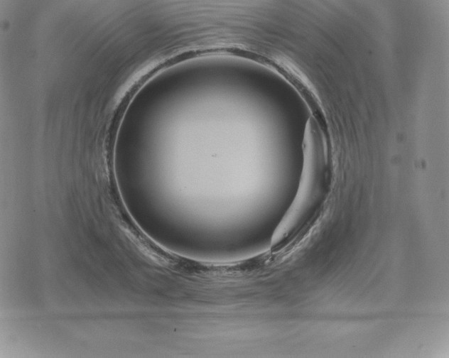 X0000075860789200609151225