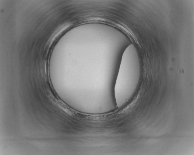 X0000075860790200609151225