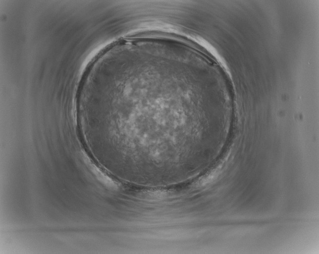 X0000075860791200609151225