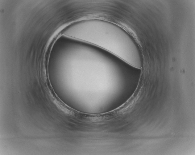 X0000075860792200609151225