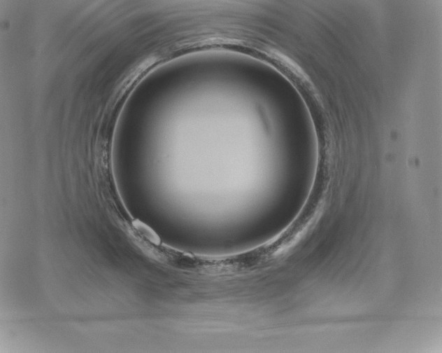 X0000075860793200609151225