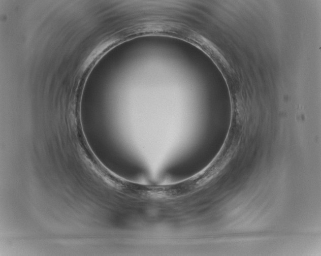 X0000075860794200609151225