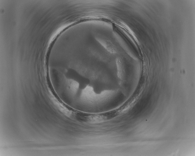 X0000075860795200609151225