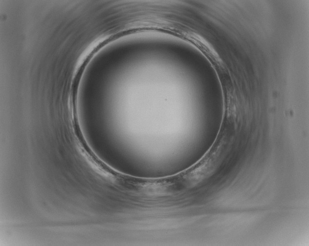 X0000075860796200609151225