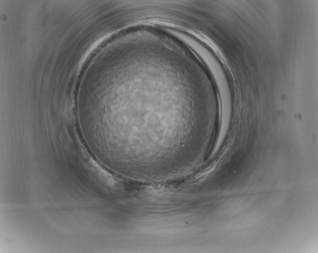 X0000075860799200609151224