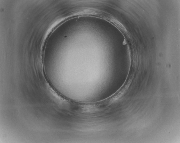 X0000075860800200609151224