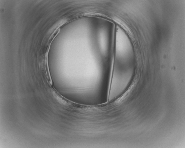 X0000075860801200609151224