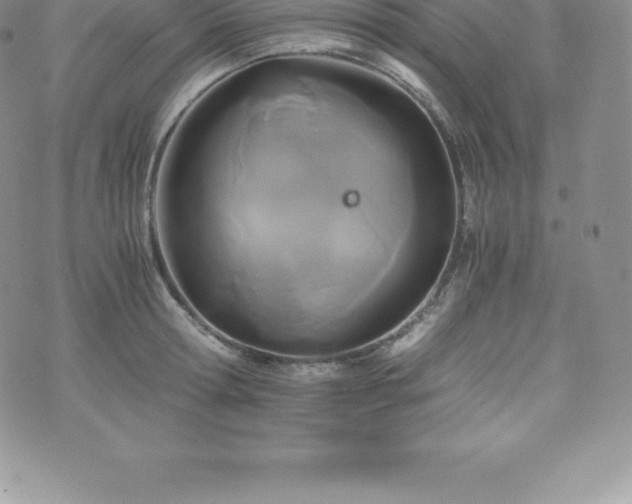 X0000075860802200609151224