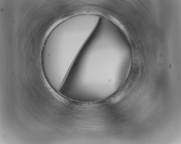 X0000075860803200609151224