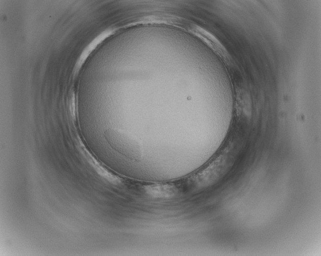 X0000075860804200609151224