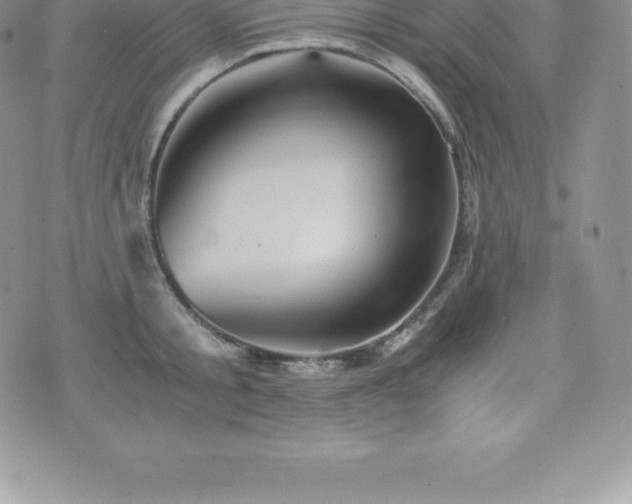 X0000075860805200609151224