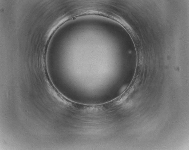 X0000075860806200609151224