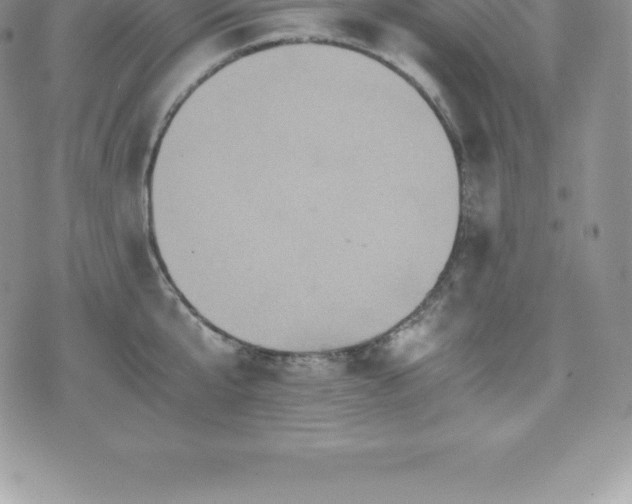 X0000075860807200609151224