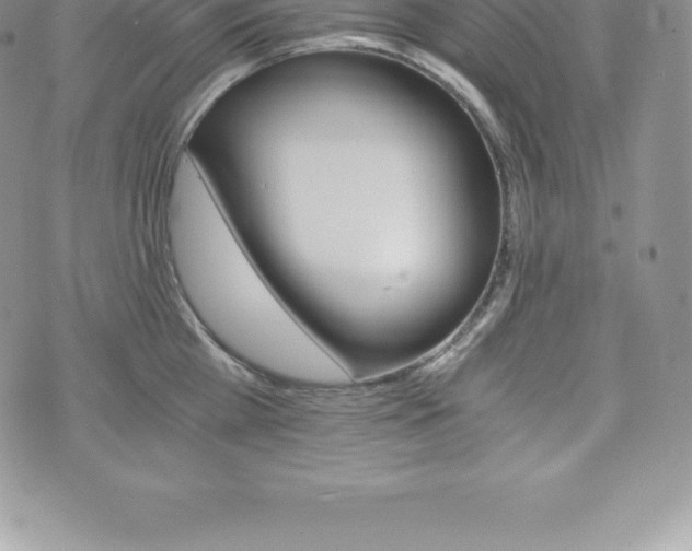 X0000075860809200609151224