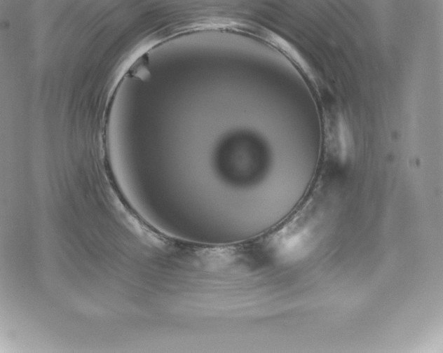 X0000075860810200609151224