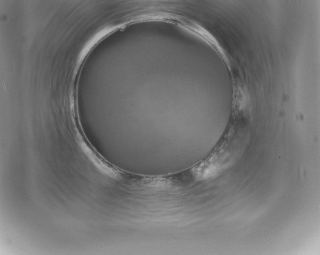 X0000075860811200609151224