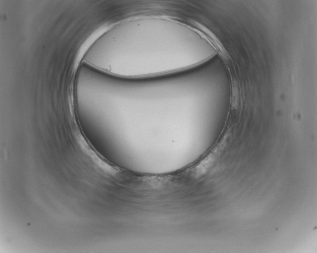 X0000075860812200609151224