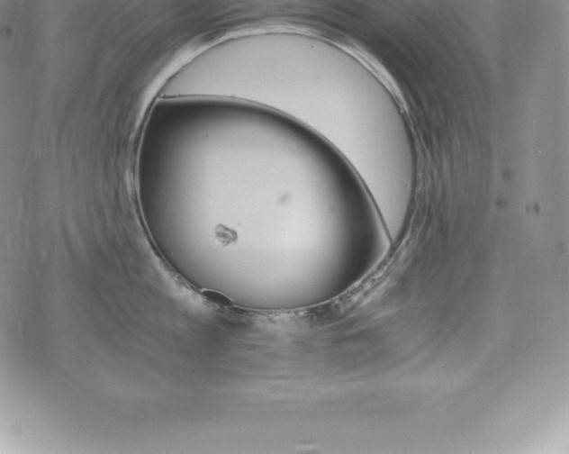 X0000075860813200609151224