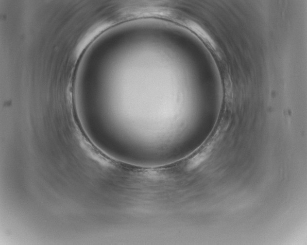 X0000075860814200609151224