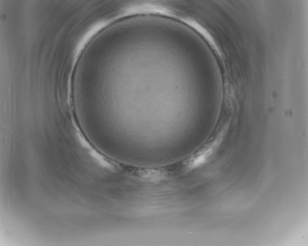 X0000075860815200609151224