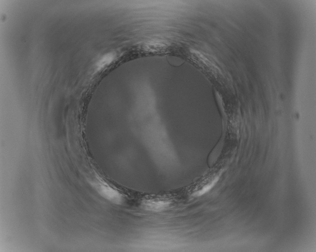 X0000075860817200609151223