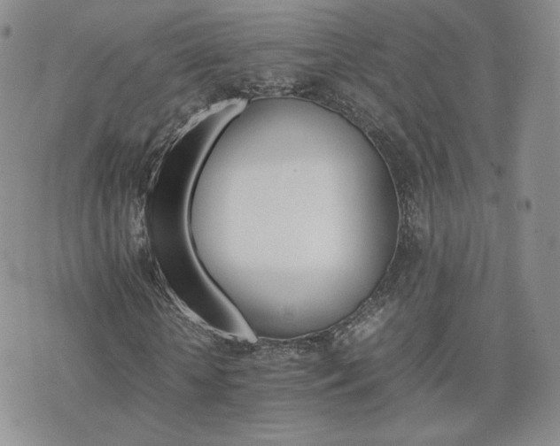 X0000075860818200609151223