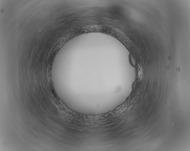 X0000075860819200609151223