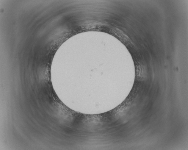 X0000075860820200609151223