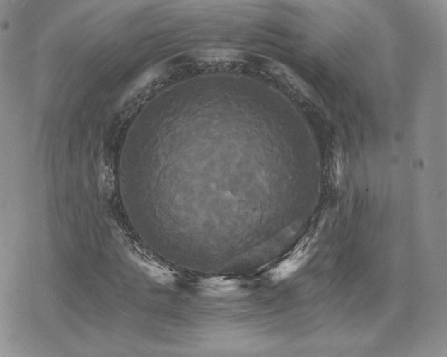 X0000075860821200609151223