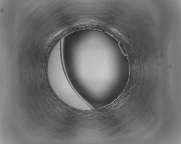 X0000075860822200609151223