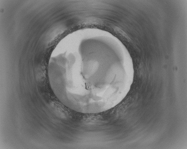 X0000075860824200609151224