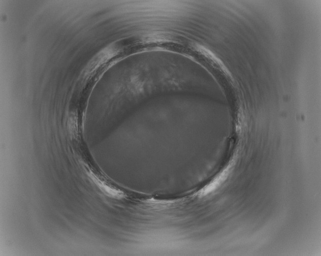 X0000075860825200609151224