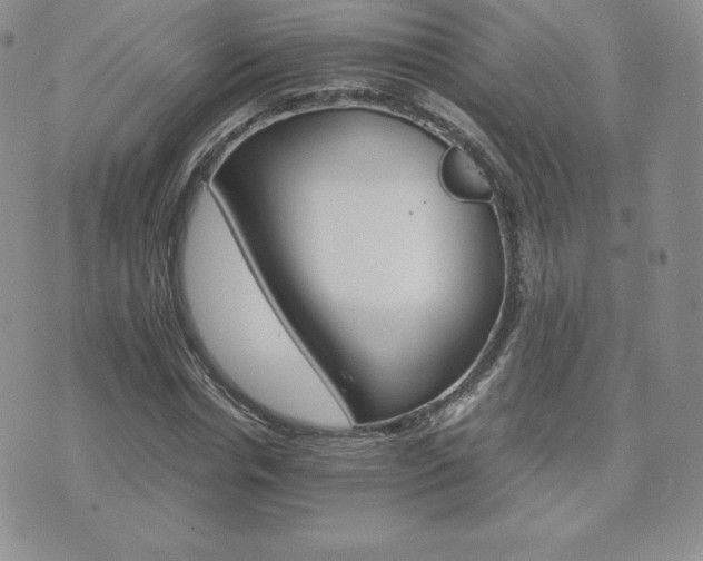 X0000075860826200609151224