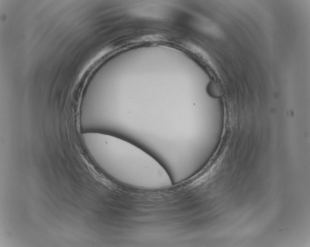 X0000075860827200609151224