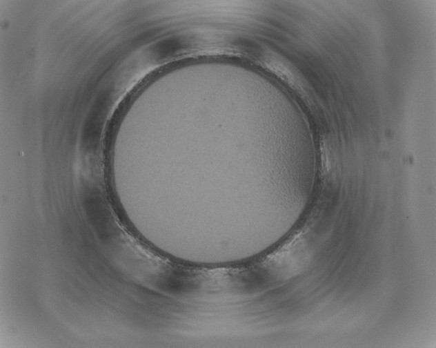 X0000075860828200609151224